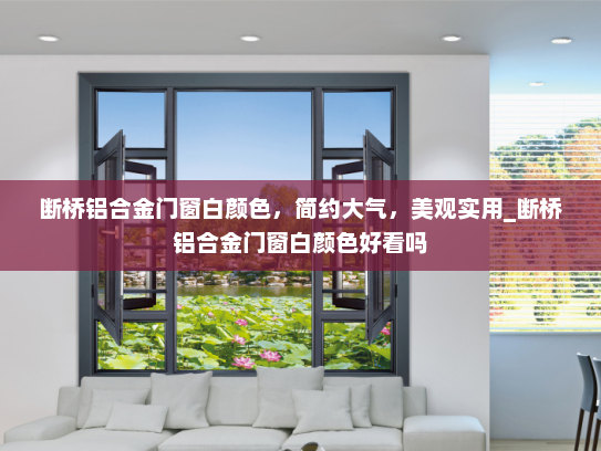 断桥铝合金门窗白颜色，简约大气，美观实用_断桥铝合金门窗白颜色好看吗