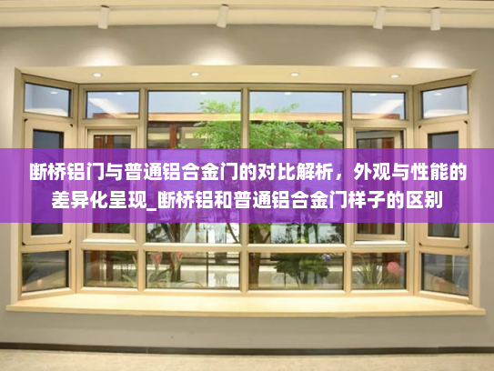 断桥铝门与普通铝合金门的对比解析，外观与性能的差异化呈现_断桥铝和普通铝合金门样子的区别