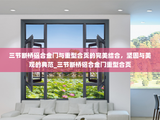 三节断桥铝合金门与重型合页的完美结合，坚固与美观的典范_三节断桥铝合金门重型合页