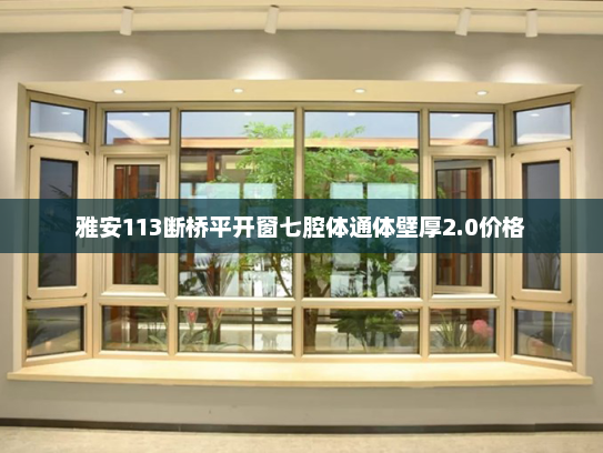 雅安113断桥平开窗七腔体通体壁厚2.0价格